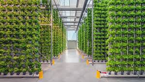 Urban Farming