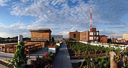 Urban Gardening