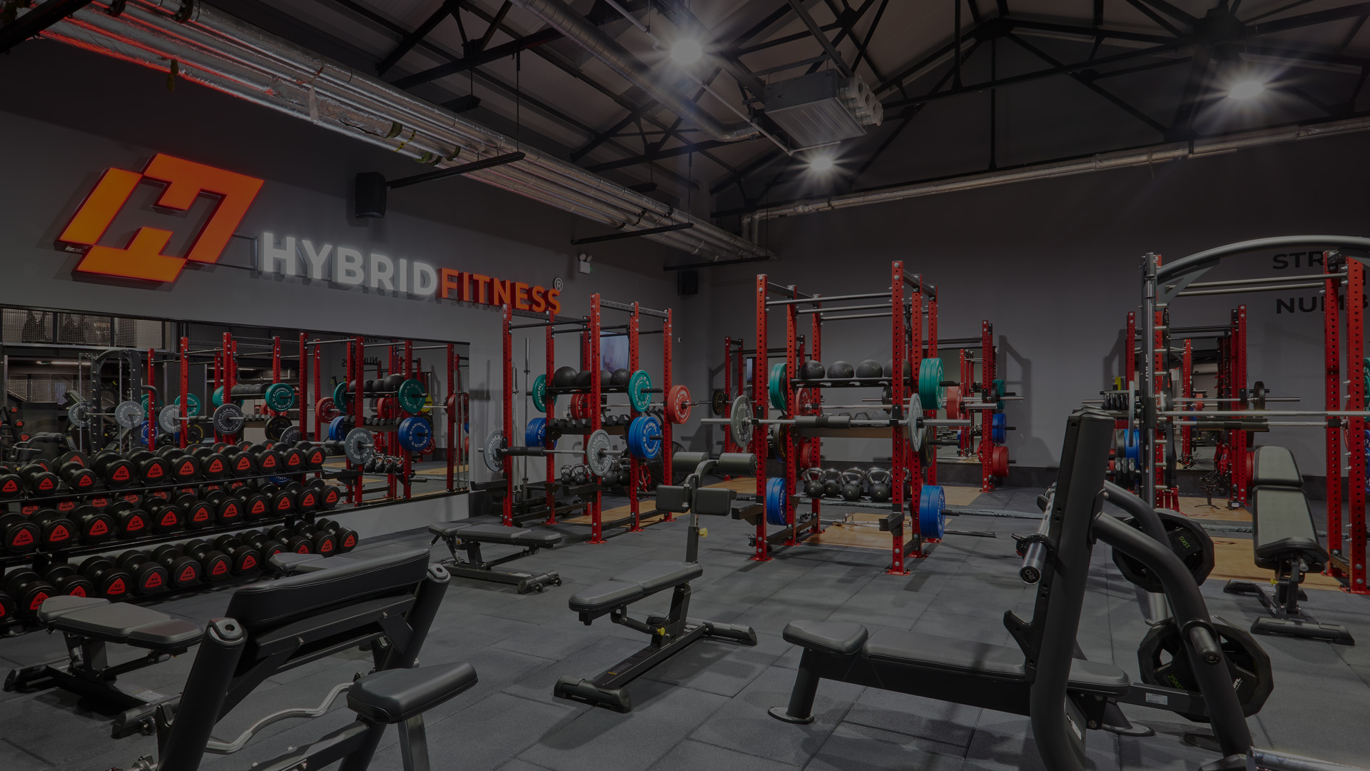 Fitness hybrid