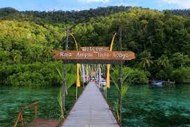 Labuan Bajo dan Raja Ampat Destinasi Menyelam Terbaik Dunia
